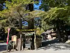 椿大神社(三重県)