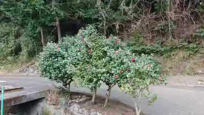熊沢権現神社の自然