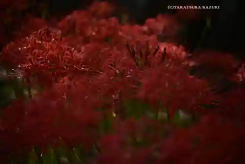 横浜　西方寺(神奈川県)