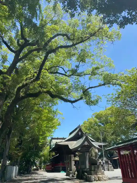 美奈宜神社(福岡県)