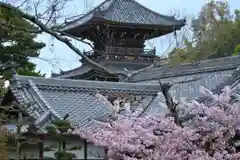 水間寺の建物その他