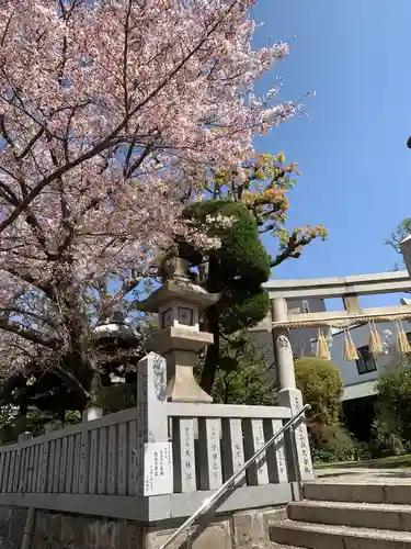 一宮神社の鳥居