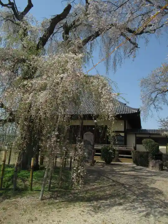 観音寺(茨城県)
