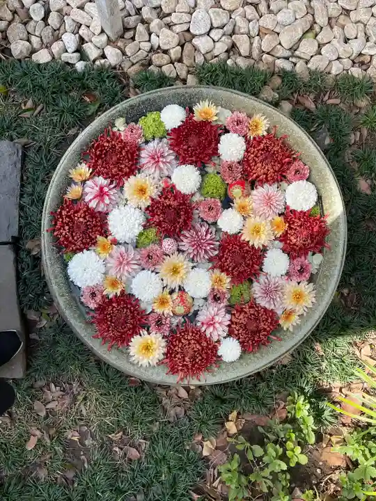 行田八幡神社の手水舎