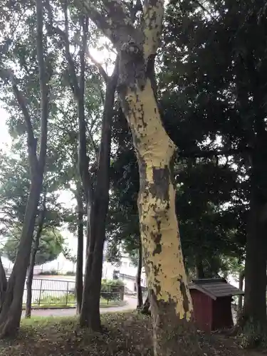 根岸八幡神社(神奈川県)