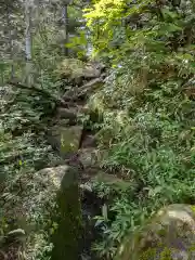 吾嬬者耶神社の自然