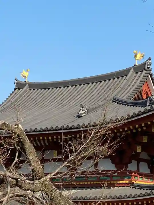 平等院の{uncategorized: "未分類", other: "その他", undefined: "問題あり", building: "その他建物", grave: "お墓", sacred_gate: "鳥居", guardian: "狛犬", statue: "像", buddha: "仏像", history: "歴史", nature: "自然", garden: "庭園", animal: "動物", pagoda: "塔", temizu: "手水舎", mountain_gate: "山門・神門", sanctuary: "本殿・本堂", subordinate: "末社・摂社", art: "芸術", scenery: "景色", jizo: "地蔵", ema: "絵馬", goshuin: "御朱印", omikuji: "おみくじ", items: "授与品その他", amulet: "お守り", goshuincho: "御朱印帳", eats: "食事", festival: "お祭り", votive_dance: "神楽", shichigosan: "七五三参", wedding: "結婚式", experience: "体験その他", initially: "初詣", around: "周辺", anti_infection: "感染症対策"}