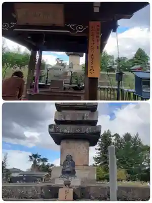 般若寺 ❁﻿コスモス寺❁(奈良県)
