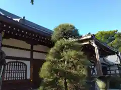 瑞雲寺の本殿