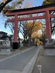 武蔵一宮氷川神社の鳥居