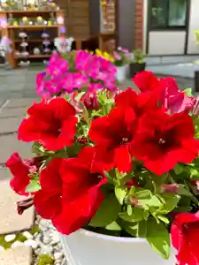 伊達神社(北海道)(2023年06月12日(月) 08時33分20秒投稿)