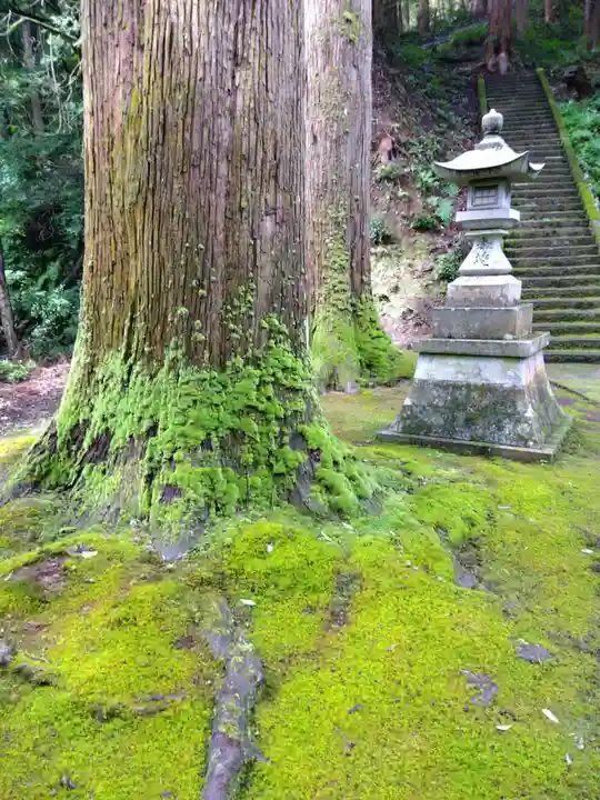 安波賀春日神社(福井県)