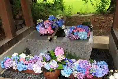 高司神社〜むすびの神の鎮まる社〜の手水舎