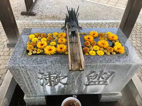 川越八幡宮の手水