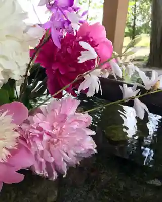 高司神社〜むすびの神の鎮まる社〜(福島県)