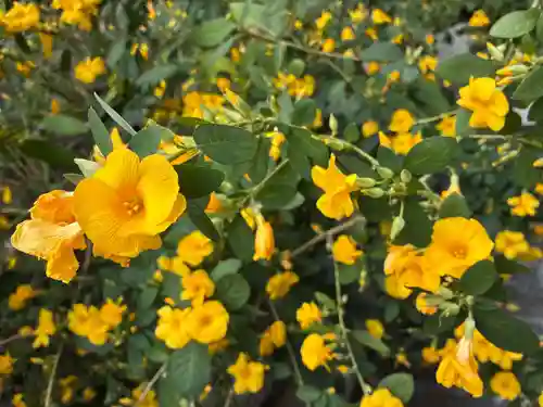 春日神社(徳島県)