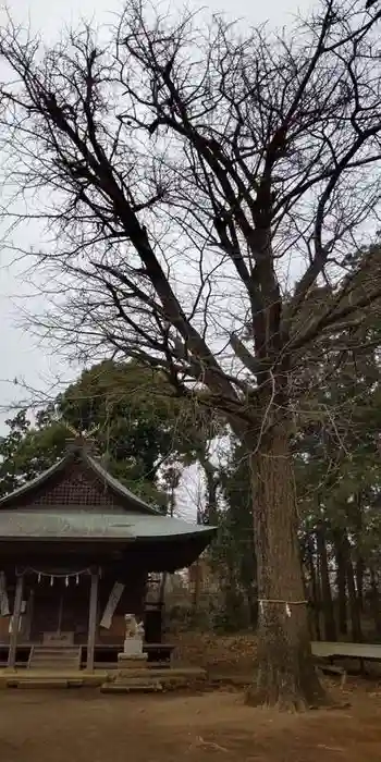 東田原神社の建物その他