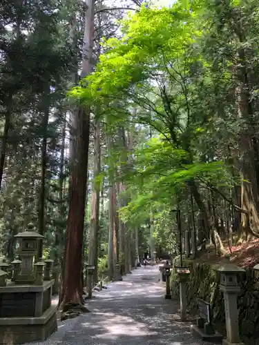 三峯神社の自然