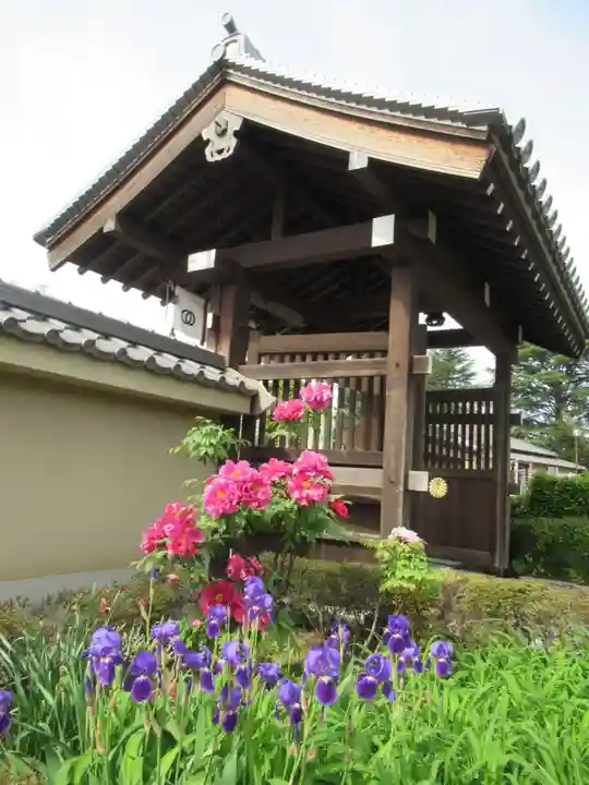 真光寺(千葉県)