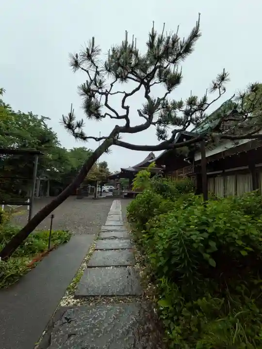 本郷氷川神社(東京都)