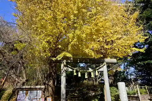 葛原岡神社の鳥居