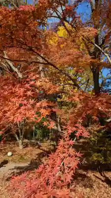 長岡天満宮(京都府)