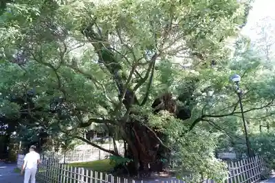 浜松八幡宮(静岡県)