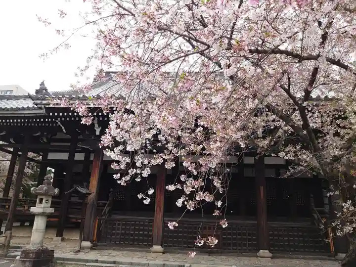 本法寺(京都府)
