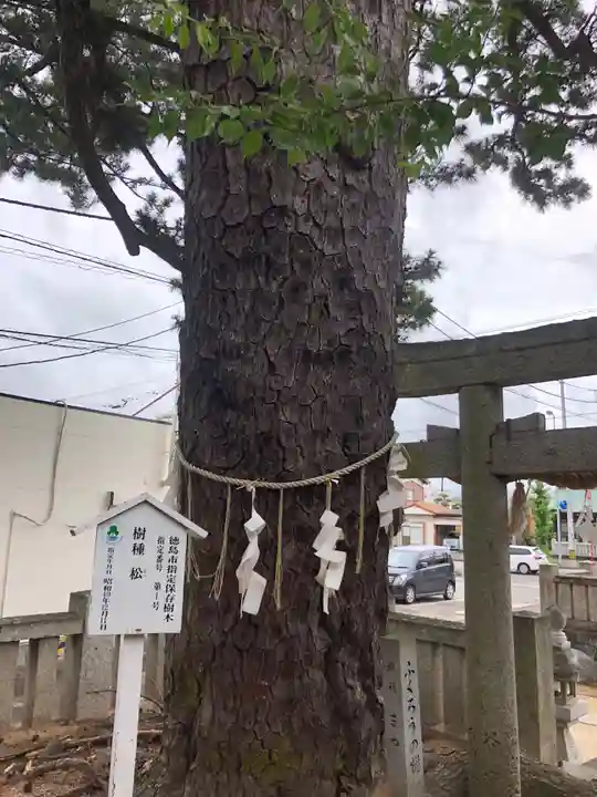 四所神社の自然