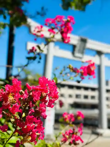 福井神社(福井県)