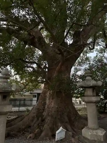 伊久比売神社(和歌山県)