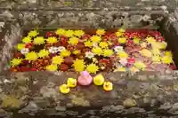 八幡神社の手水舎