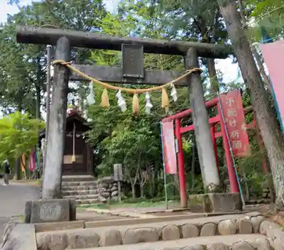 塩船観音寺(東京都)