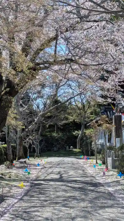 西教寺(滋賀県)