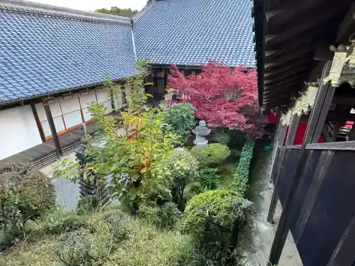 光明寺（粟生光明寺）(京都府)
