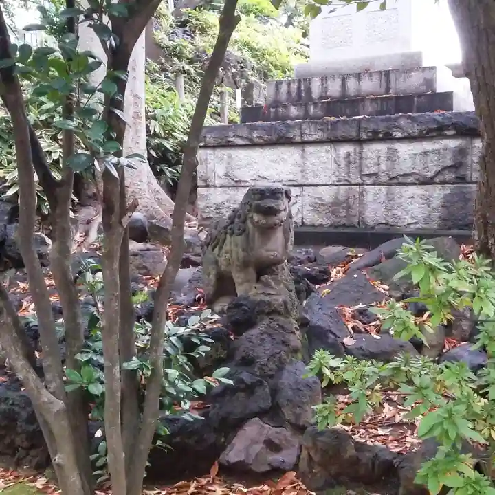 鳩森八幡神社の狛犬