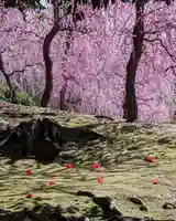 城南宮(京都府)