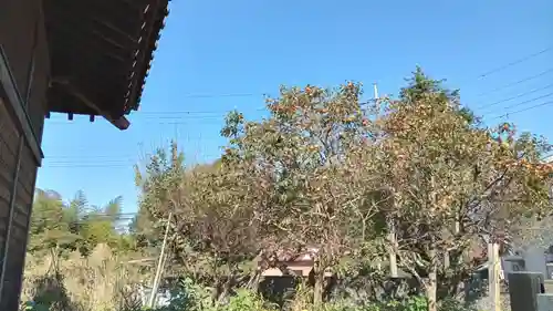 観行院(千葉県)