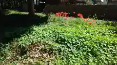 酒門神社の自然