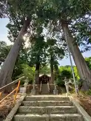 八幡白山神社の本殿