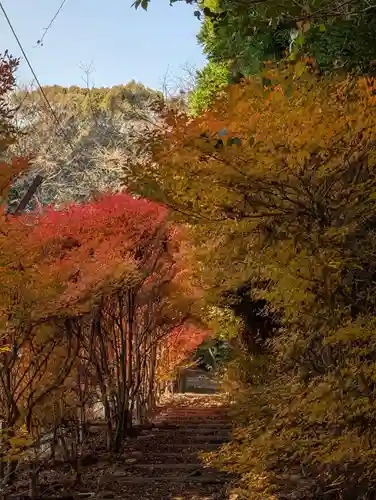 旧妙見宮奥之院（巌屋神社）(愛知県)