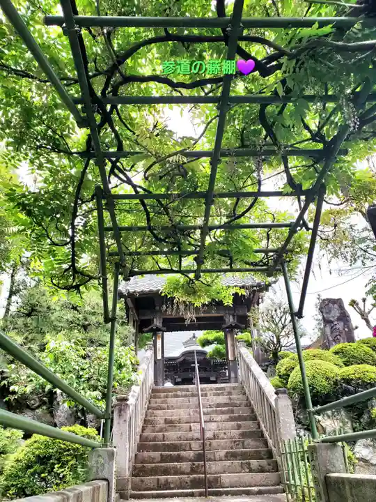 清宝院(東京都)