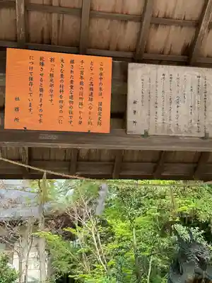 越中一宮 髙瀬神社(富山県)