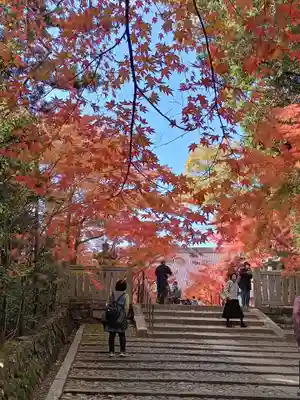 光明寺（粟生光明寺）(京都府)
