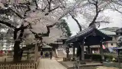 新井薬師（梅照院）(東京都)