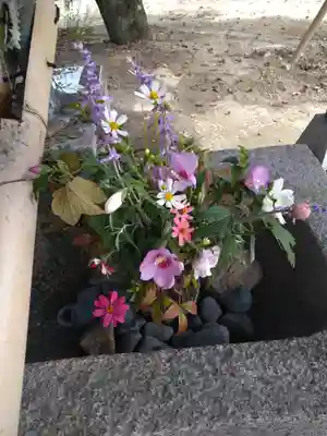 木華佐久耶比咩神社の芸術