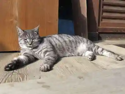 梅宮大社(京都府)