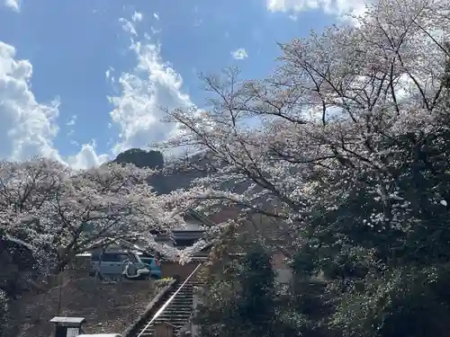 宝菩提院願徳寺(京都府)