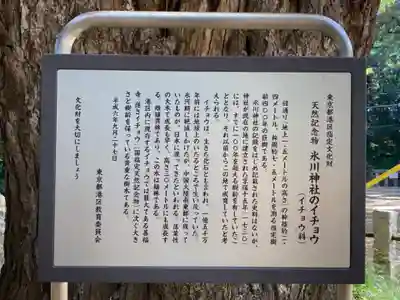 赤坂氷川神社の歴史