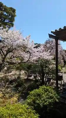法金剛院(京都府)